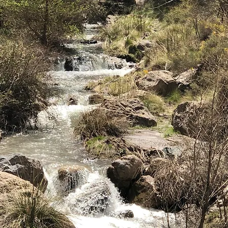Molino Felix Rurales