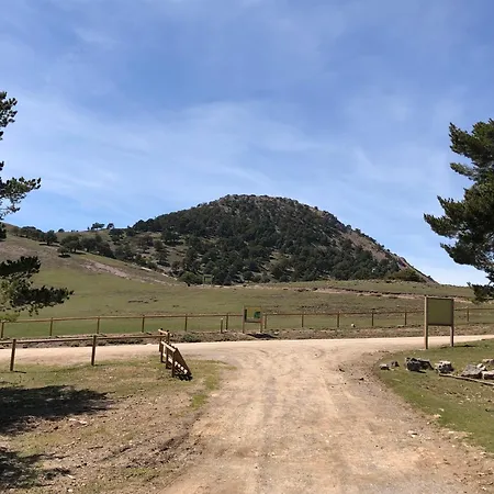 Molino Felix Rurales